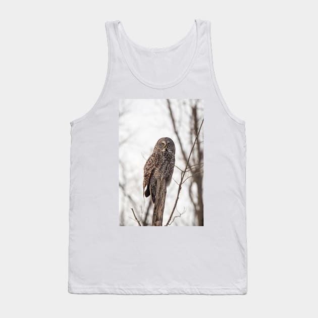 Great Grey Owl in winter Tank Top by josefpittner